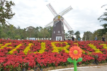 DSC0827