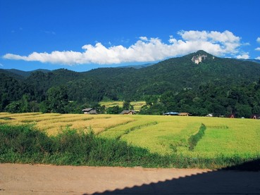 IMG0067