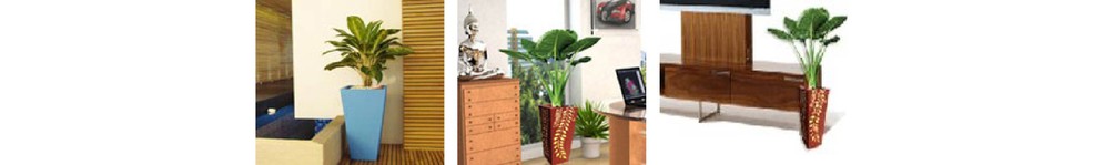 iTopPlus708331999972