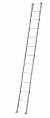 พาด1ตอน