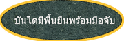 บันไดมีพื้นยืนพร้อมมือจับ
