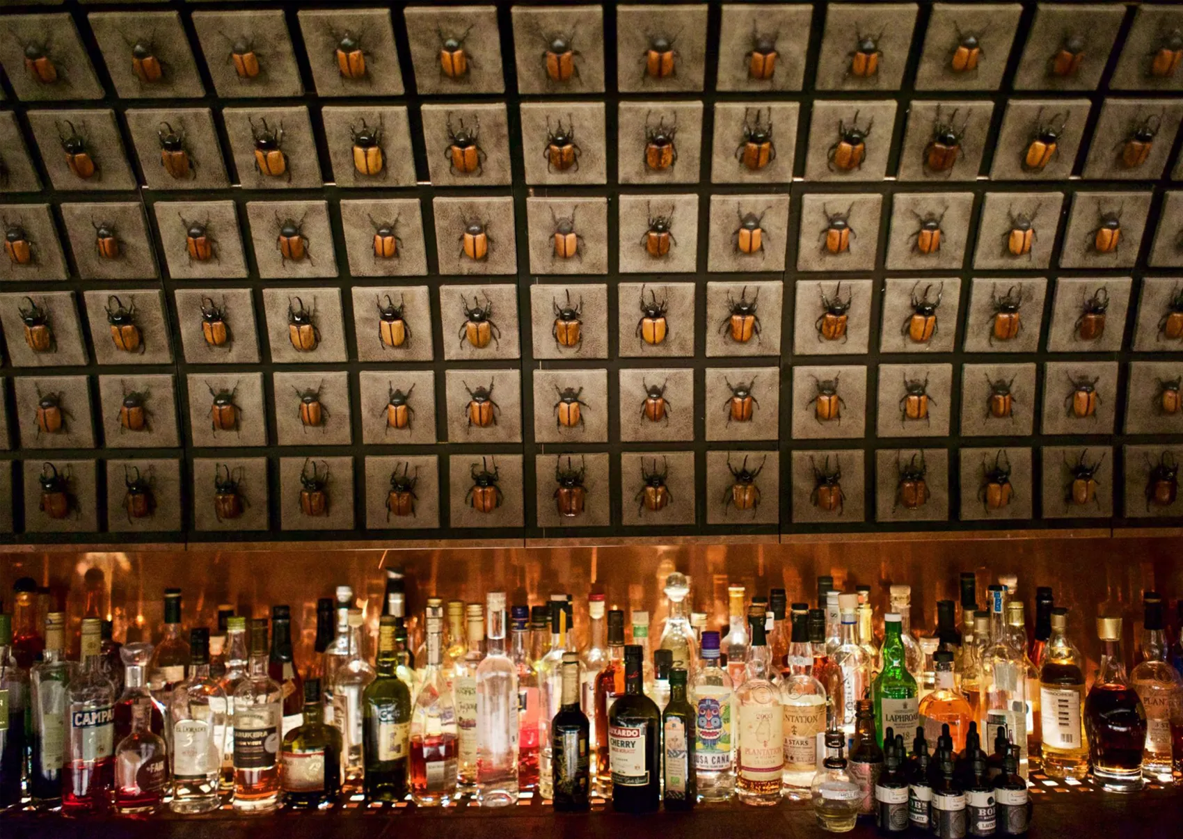 19