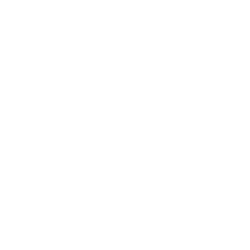 Morph-01-2000x2000