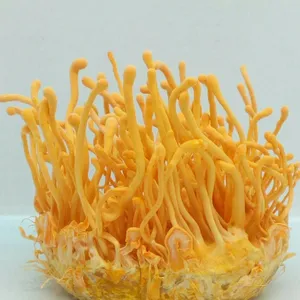 iTopPlus369866891180