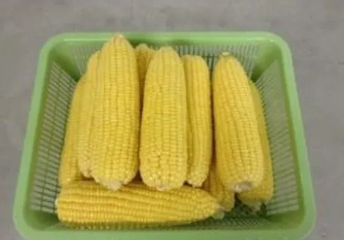 iTopPlus1124431918385