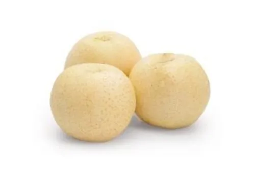 iTopPlus1185325242611