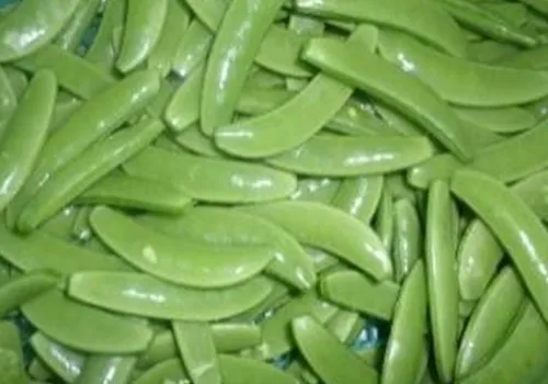 iTopPlus1332530160263