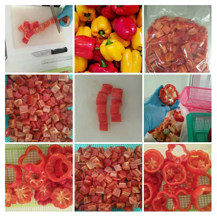 iTopPlus24912452510