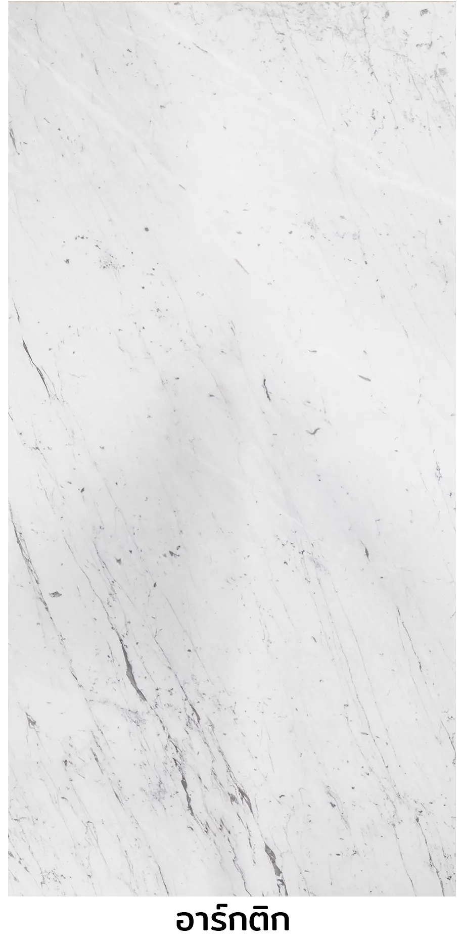 iTopPlus1480729759450