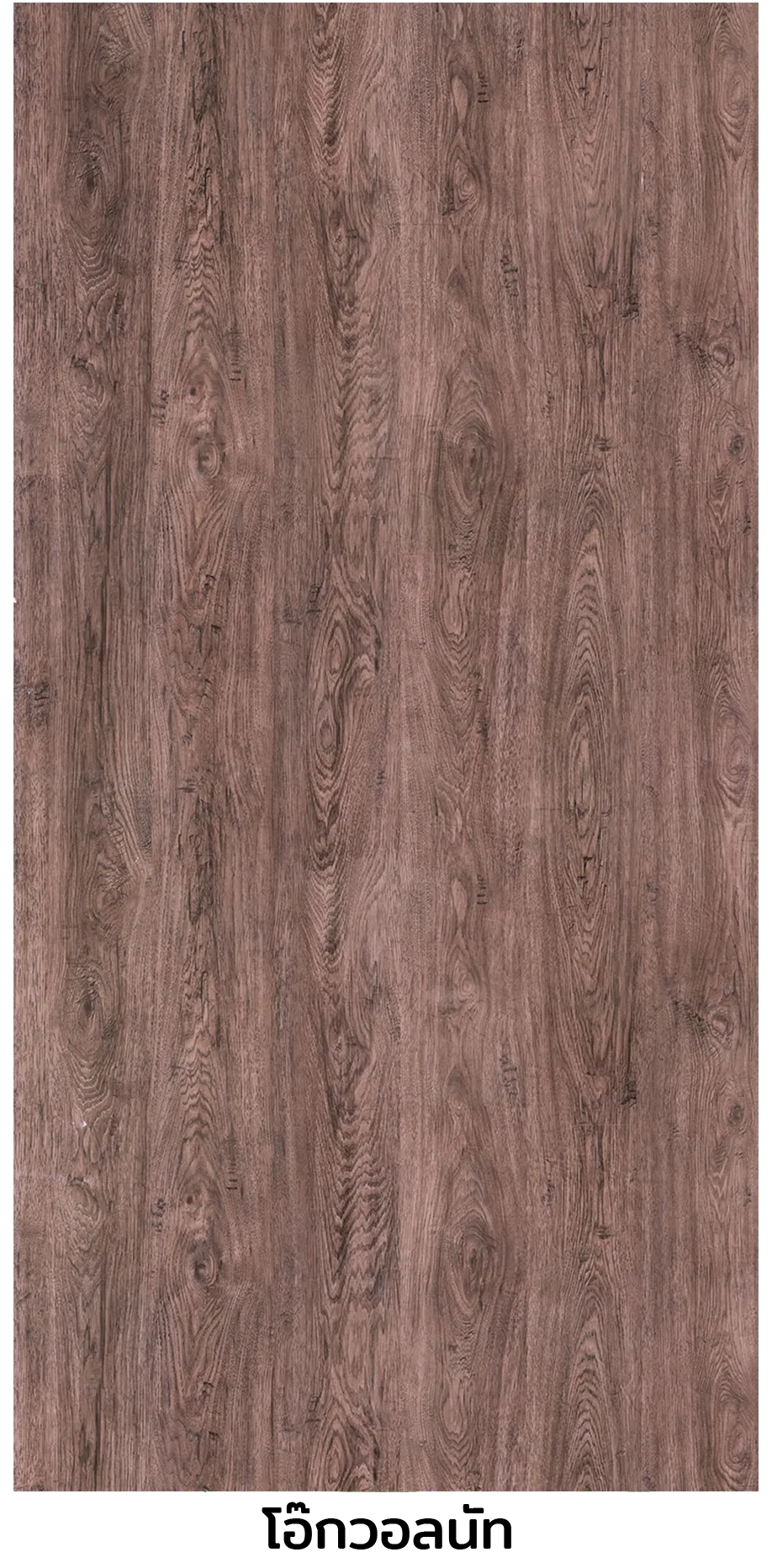 iTopPlus634391100103