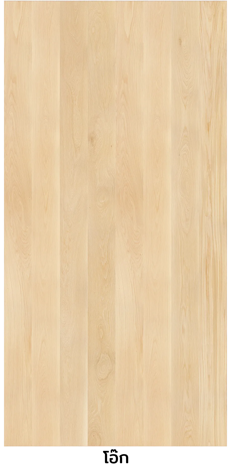 iTopPlus762909930577