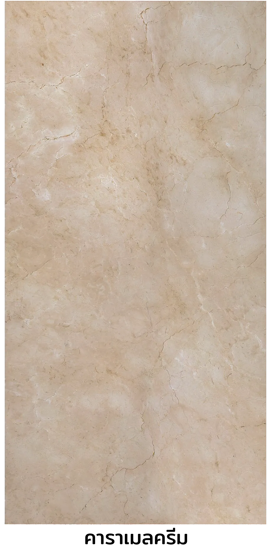 iTopPlus847601673248