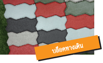สีบล็อคทางเดิน2