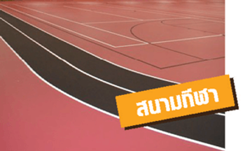 สีสนามกีฬา