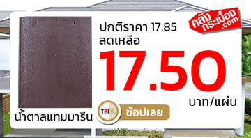 กระเบื้องหลังคาทีพีไอลักเซอร์เลียน้ำตาลแทมมารีน1