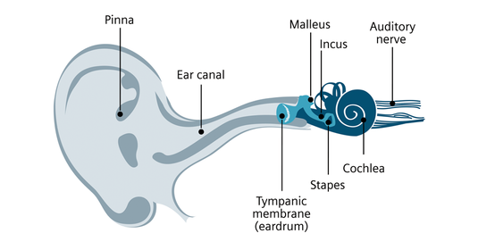 TheEar