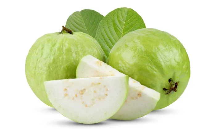 Guava-1