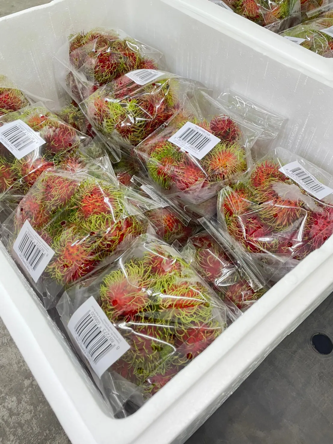 Fresh rambutan