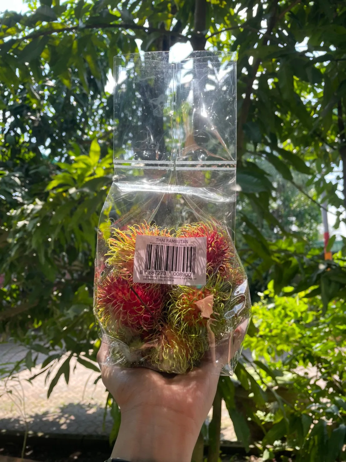 Fresh rambutan