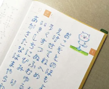 06