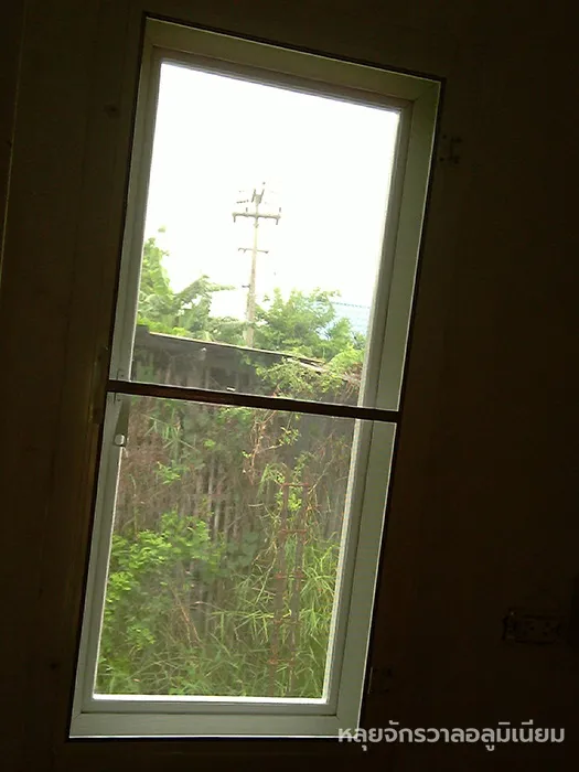IMAG0272