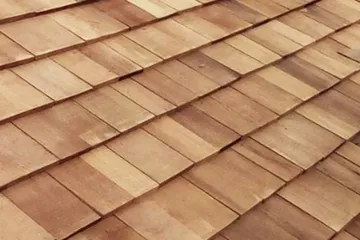 CedarFolderPictureForDensityWeb