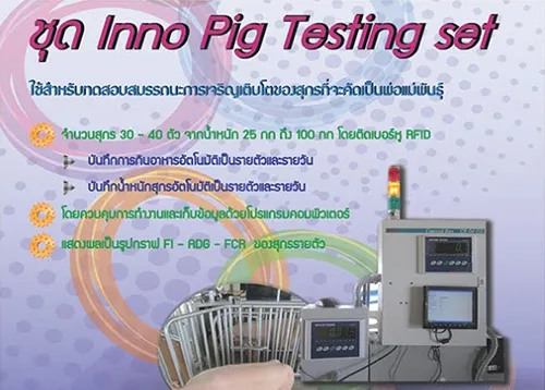iTopPlus1006611782655