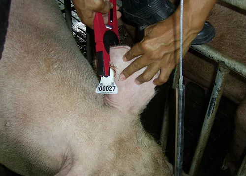 iTopPlus1394047716207