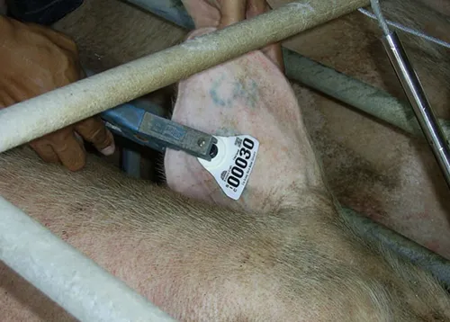 iTopPlus164337071406