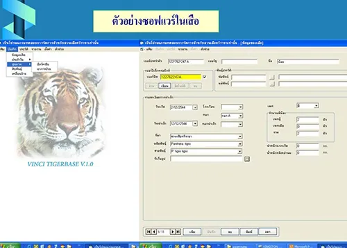 iTopPlus484047452140