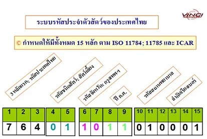 iTopPlus853313523644