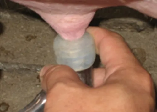iTopPlus897349118701