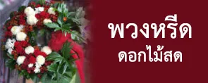 iTopPlus1352165982049