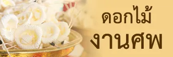 iTopPlus295383394151