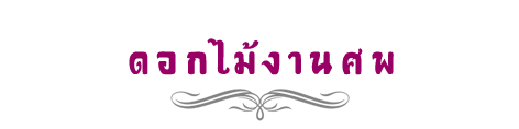 iTopPlus462049998575