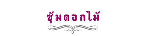 iTopPlus627587869589