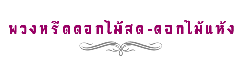 iTopPlus878678618404