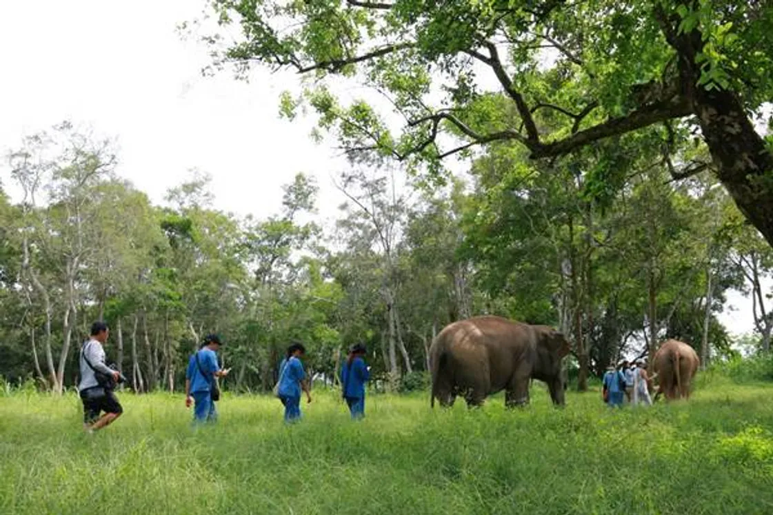 anantara(2)re