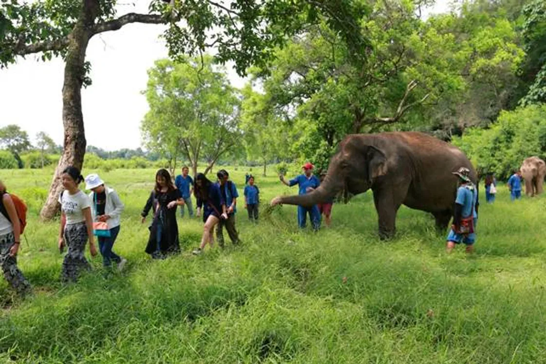 anantara(3)re