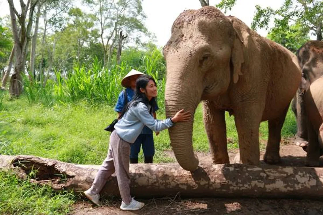 anantara(6)re