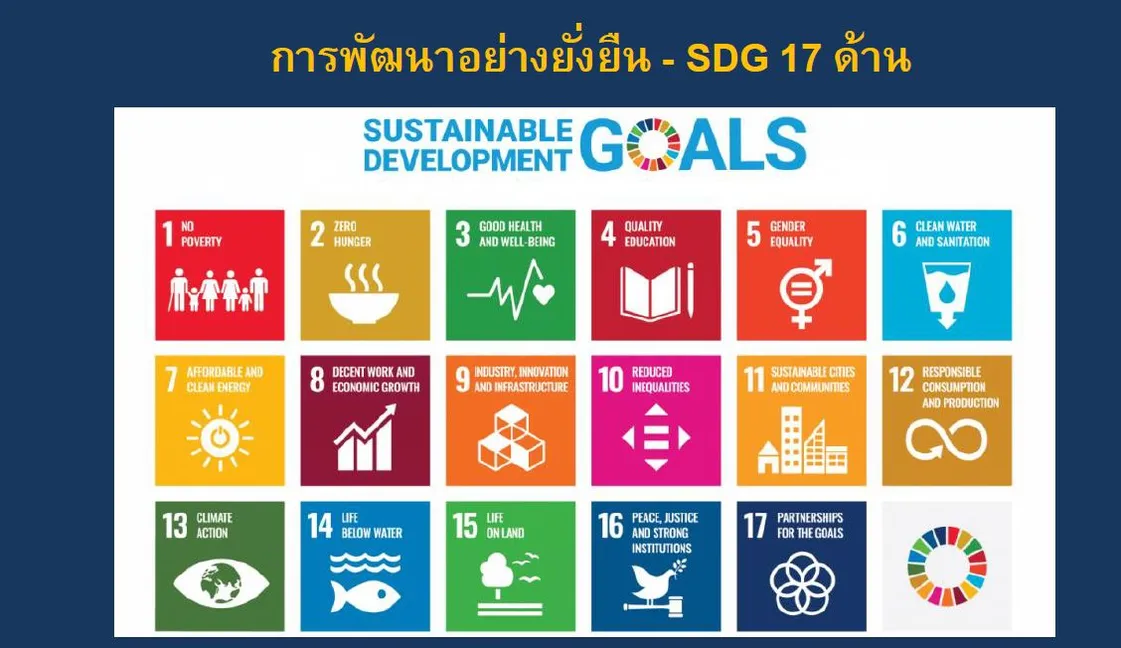 sdg
