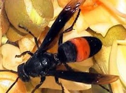 iTopPlus240375147458.jpg