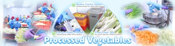 CoverWebOnlineผัก2