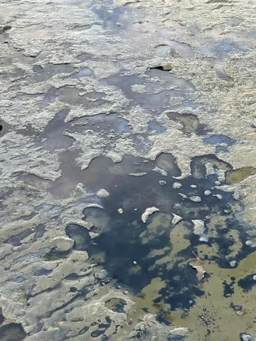 AgedPond