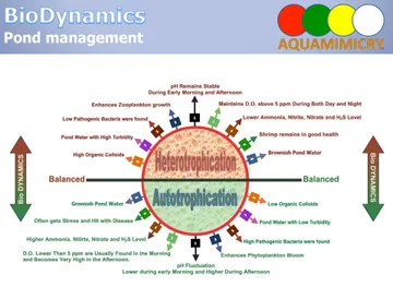 AquamimicryBiodynamics