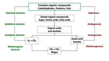Biogas