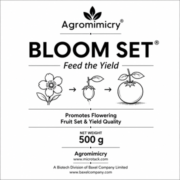 Bloomset