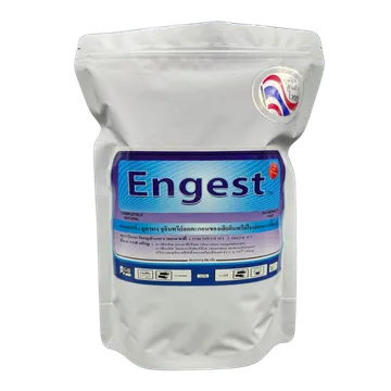 Engest