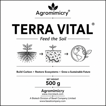 TerraVital