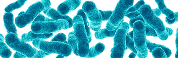 Untitleddesign-9